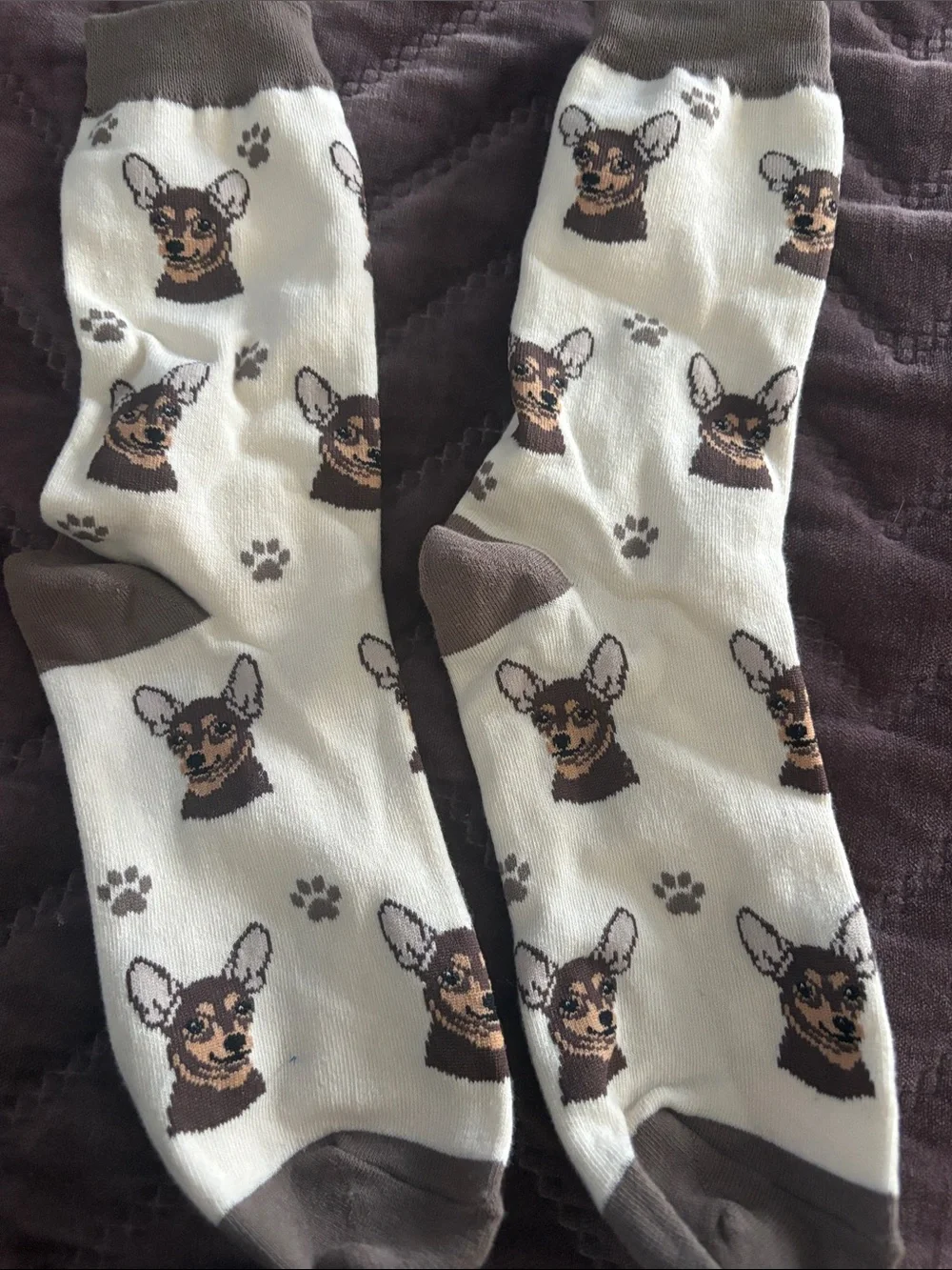 Chihuahua Dog Face Crew Socks